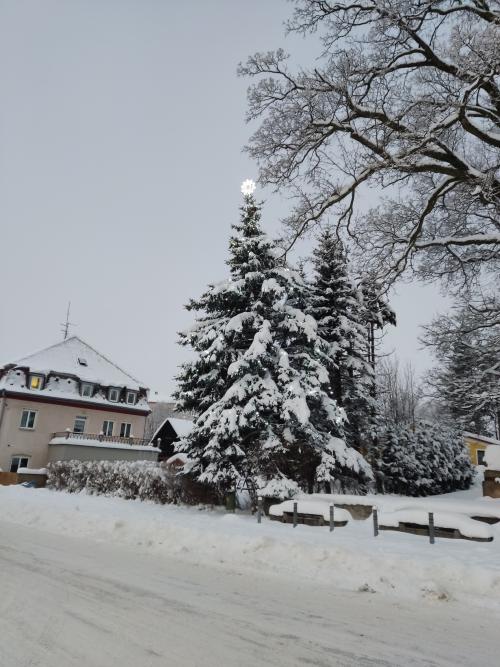 Zasněžený vánoční strom