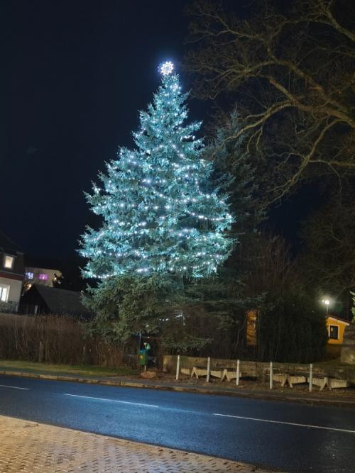 Rozsvícení Vánočního stromku 2